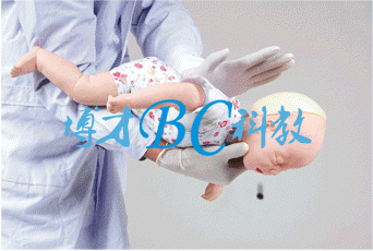婴儿气道梗塞及CPR模型