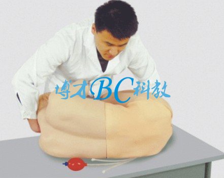 BC-CK811 腰椎穿刺训练模型