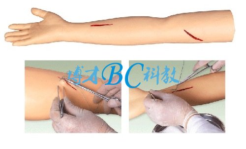 BC-LV1外科手臂缝合训练模型