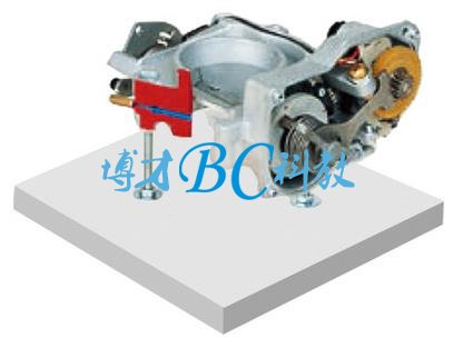 BCQC-JP015 节气门解剖模型