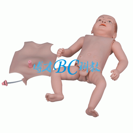 婴儿护理人模型