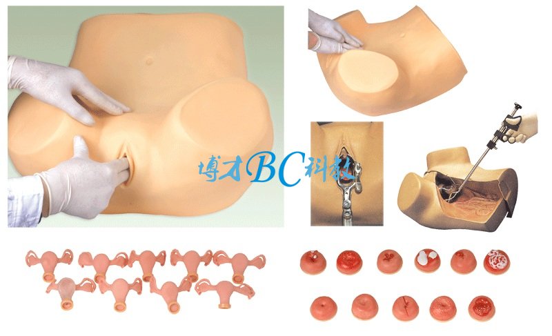 BC-8A 妇科检查模型