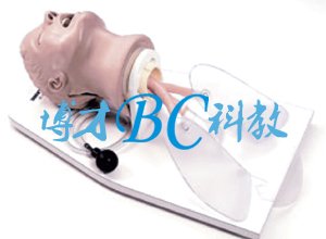 BC-8 经典气管插管训练模型