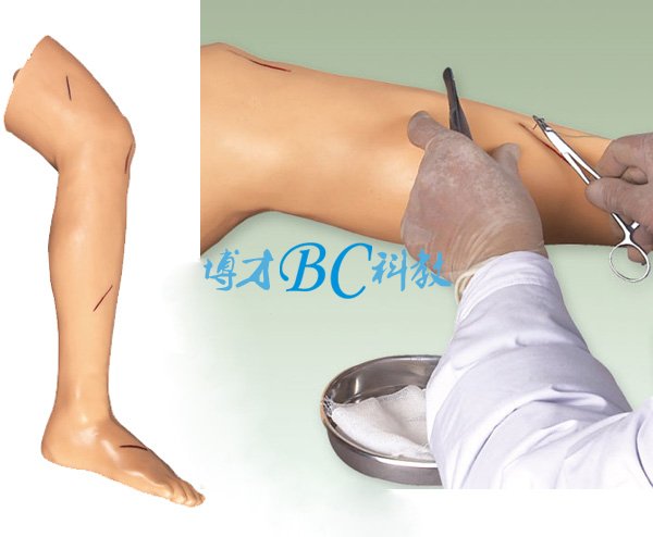 BC-FT 外科腿部缝合训练模型