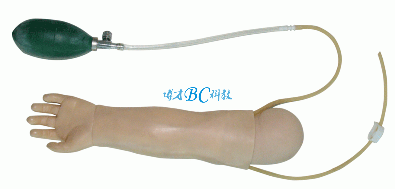 BC-HS37婴儿动脉穿刺训练手臂